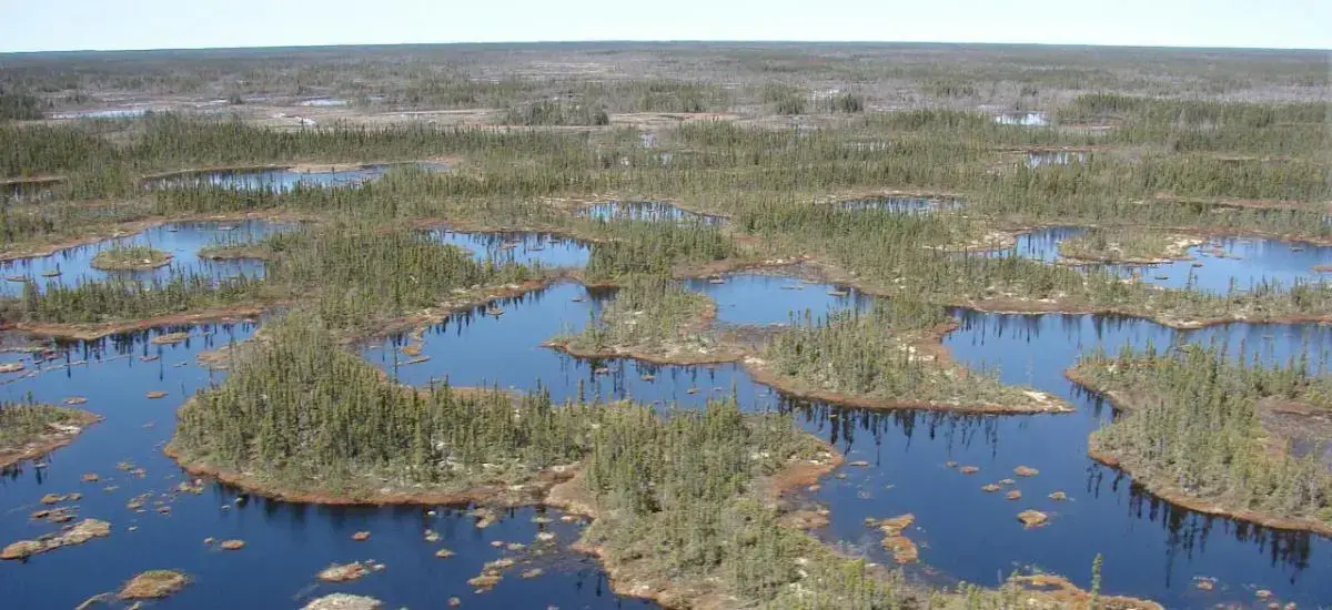 Paisaje de turberas en las tierras bajas de la Bahía de Hudson, Canadá.