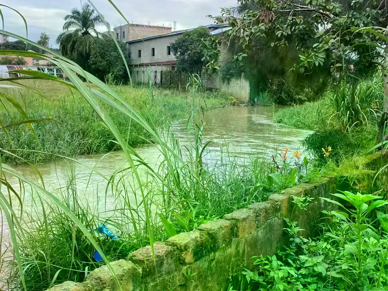 Río Lubumbashi a la altura del puente Kalubwe, donde se reportó una significativa mortalidad de peces en noviembre de 2025.