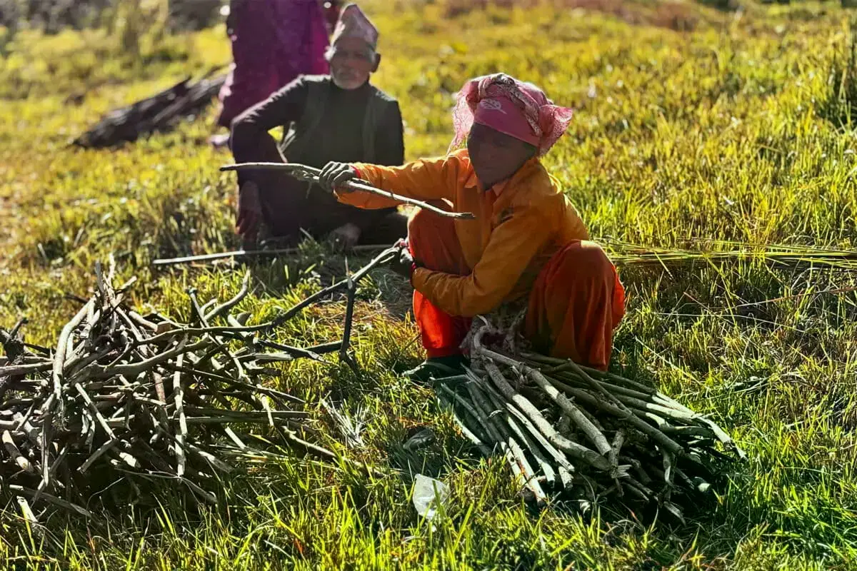 Residentes de las zonas buffer de Bardiya transportando forraje.