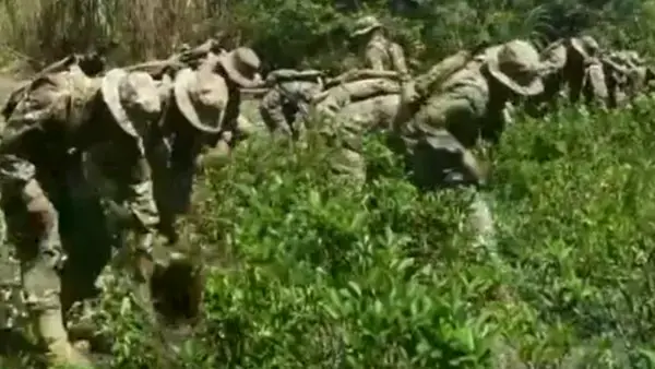 Operativo de erradicación de cocales en el Chapare