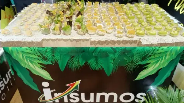 Palmito y piña procesada por las plantas de Insumos Bolivia.