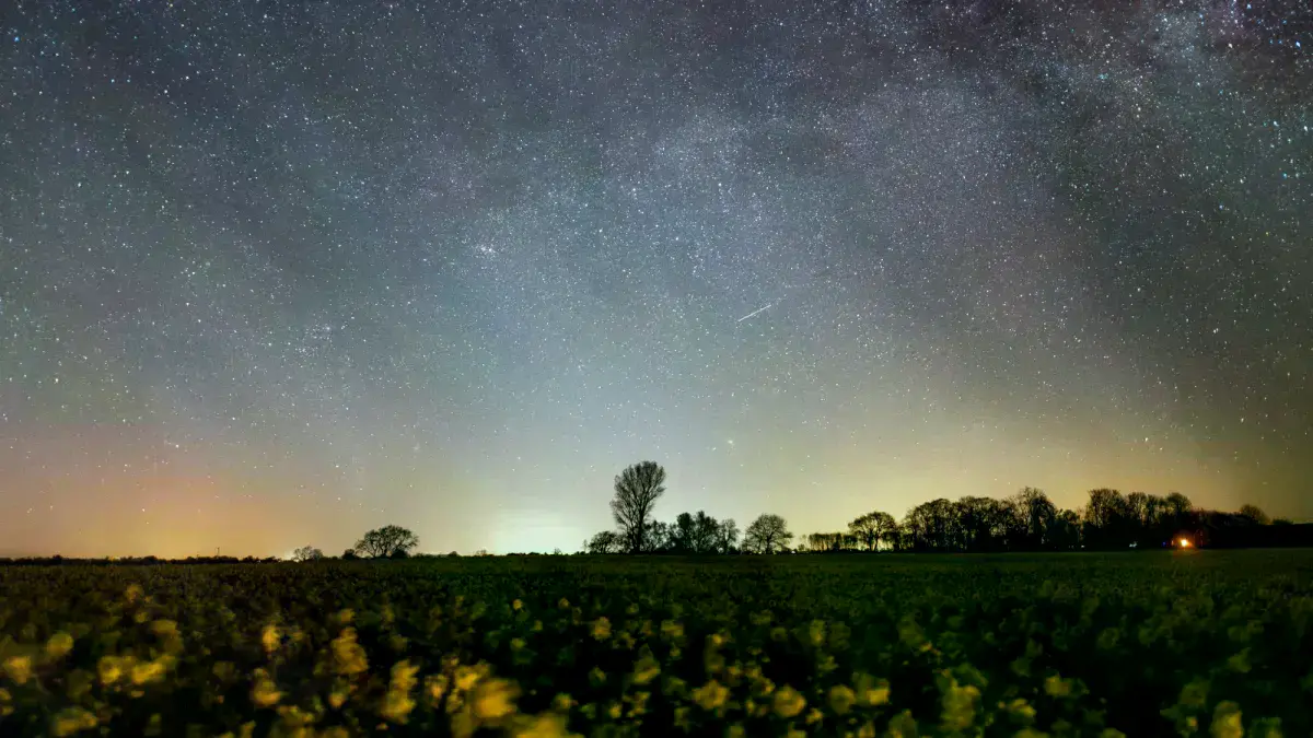 Un cielo estrellado brilla sobre un campo de flores en Alemania durante la lluvia de meteoros Líridas en abril de 2020.