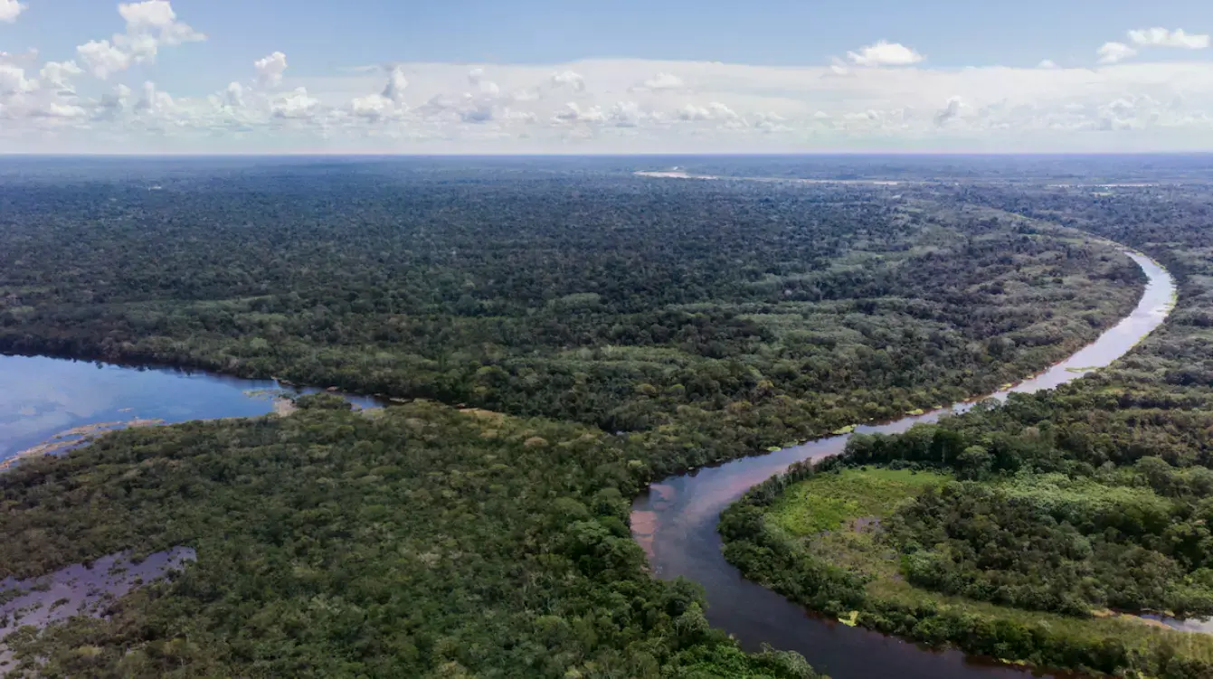 La selva amazónica en Perú.