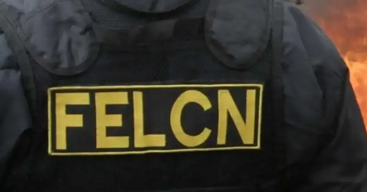 Imagen sin título
