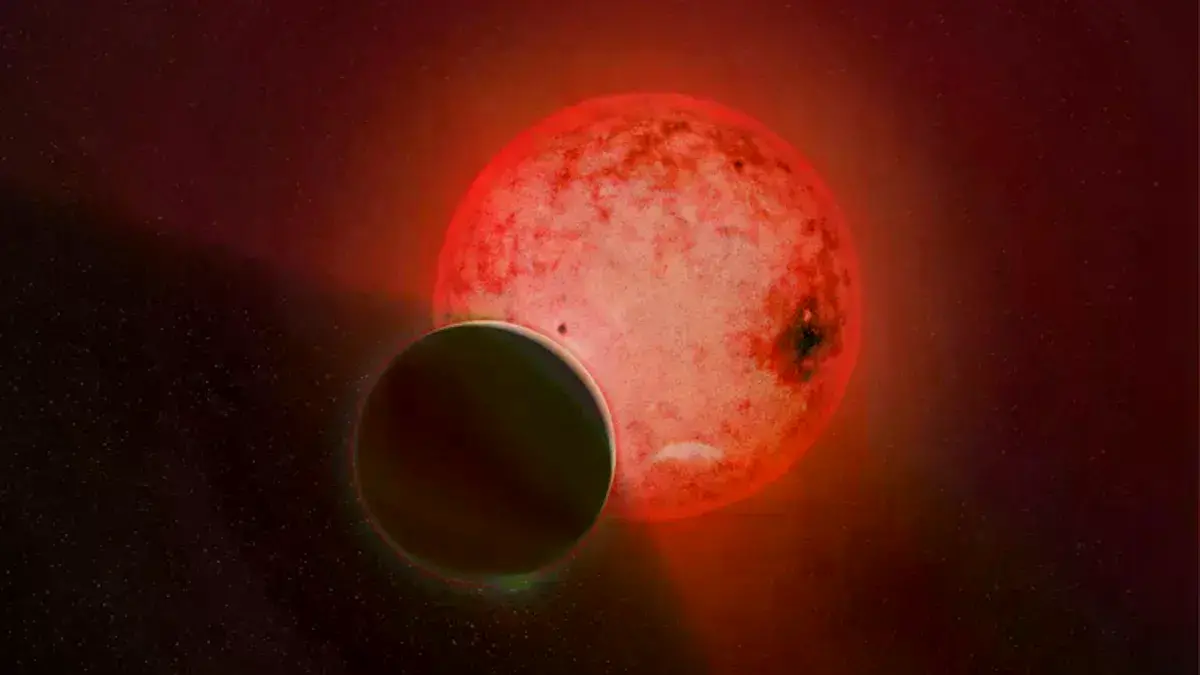 Concepción artística del planeta gigante gaseoso TOI-5205 b orbitando una pequeña estrella roja enana fría.
