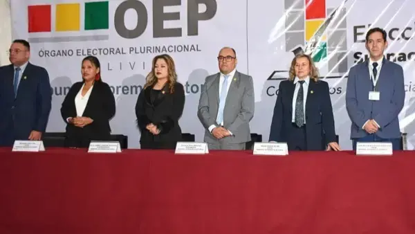 El presidente del TSE, Gustavo Dávila.