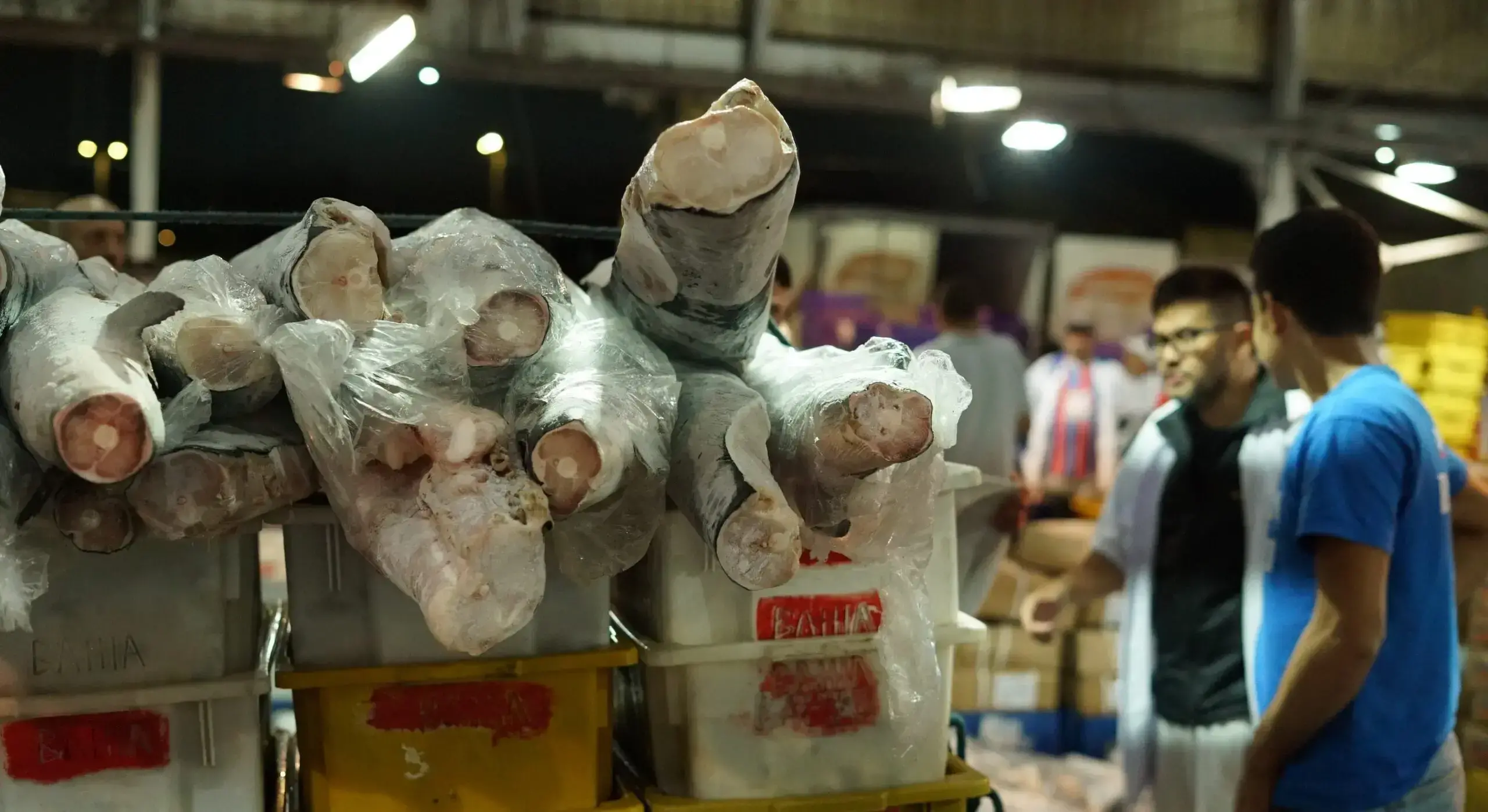 Filetes de tiburón congelados en un supermercado.