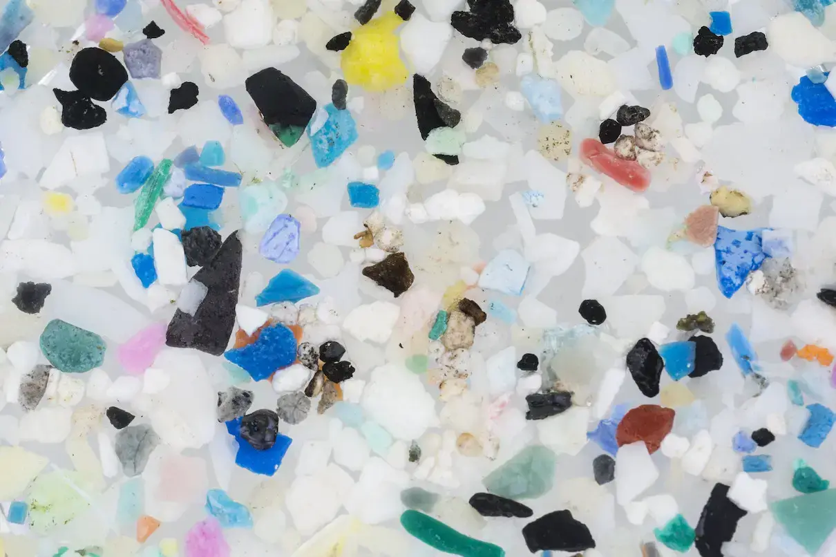 Microplásticos encontrados en un arroyo de agua dulce en Florida en 2017.