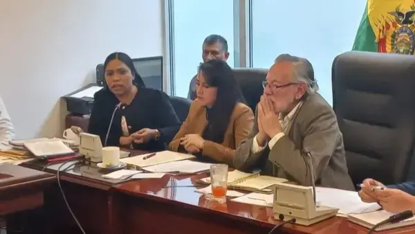 Las magistradas del TCP explicaron a la comisión de Constitución la necesidad de la norma.