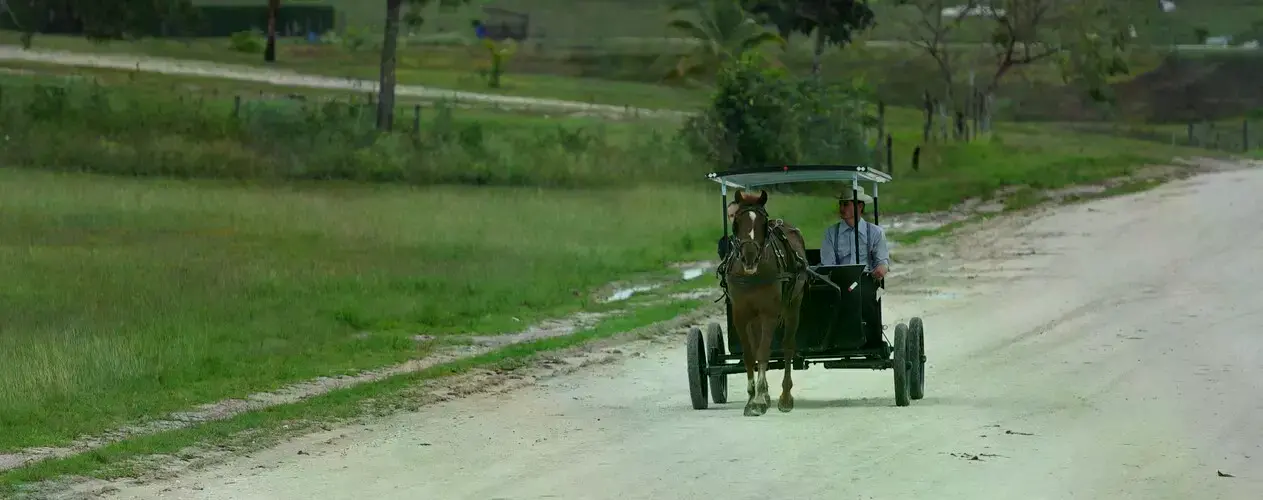 Un menonita conduce un carruaje tirado por caballos en Belice.