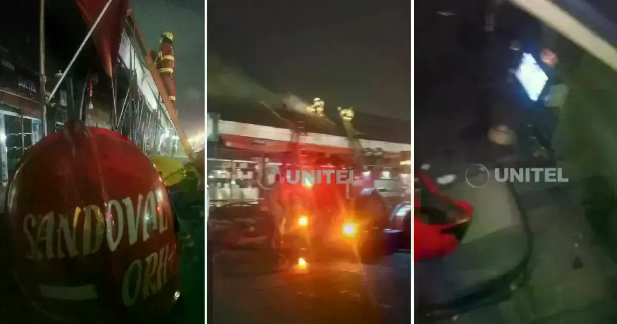 Imagen sin título
