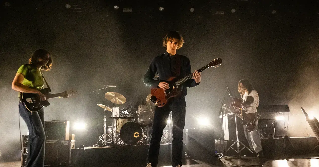 Fotografía de la banda Geese.