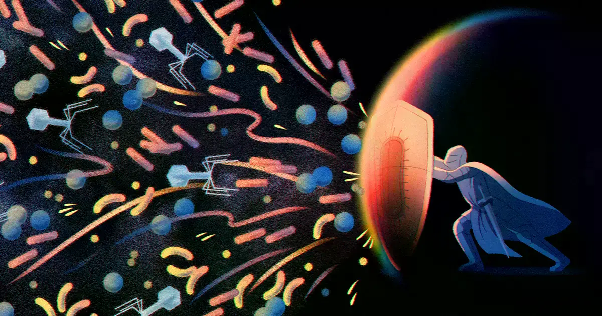 Representación artística de una batalla entre una bacteria y un virus bacteriófago.