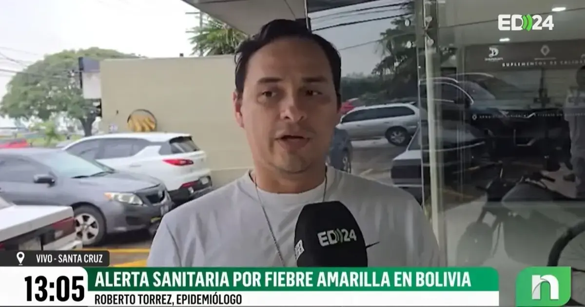 Mosquito transmisor de la fiebre amarilla