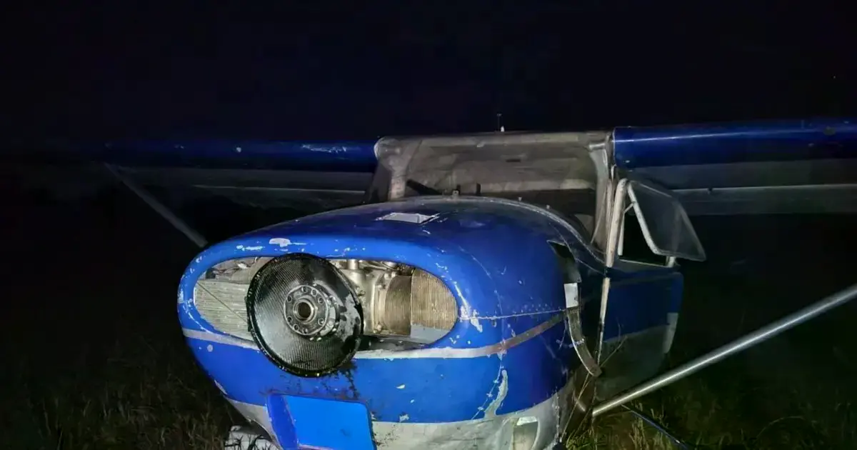 Imagen sin título