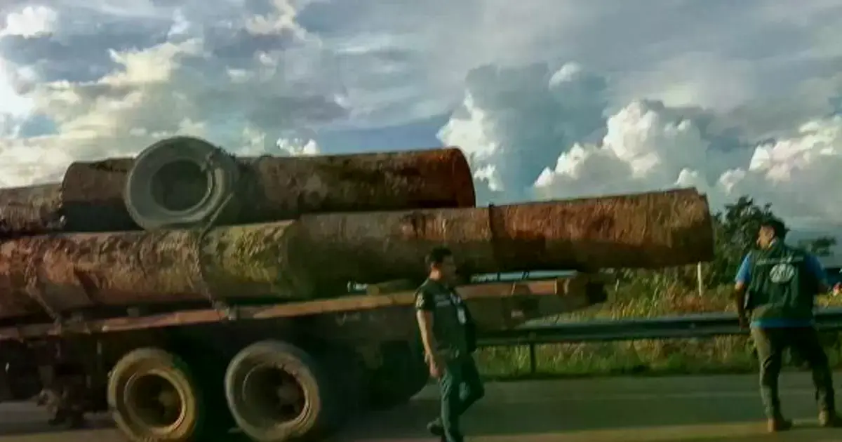 Imagen sin título