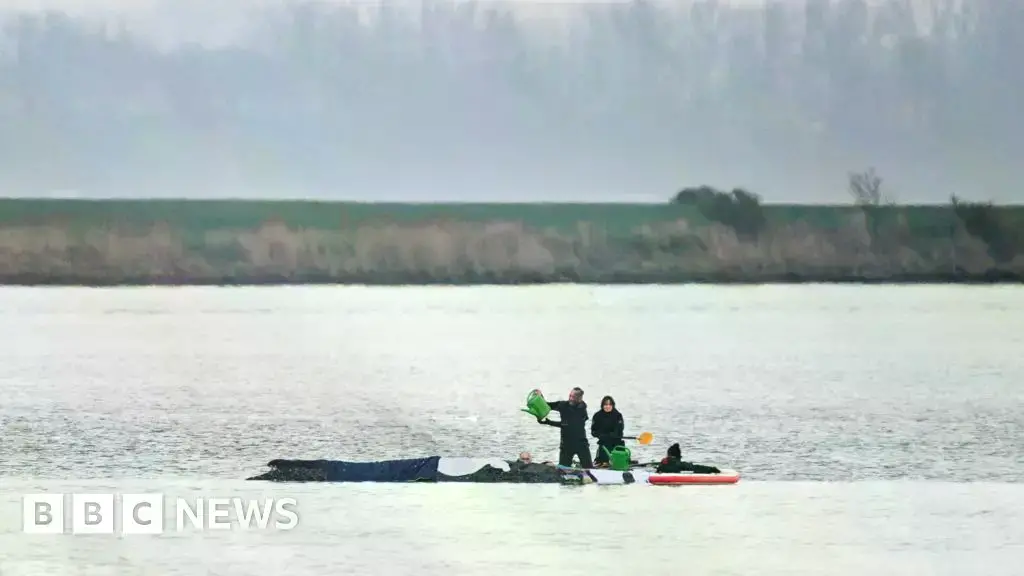 Rescatistas intentan rescatar a la ballena en aguas poco profundas cerca de Wismar, Alemania