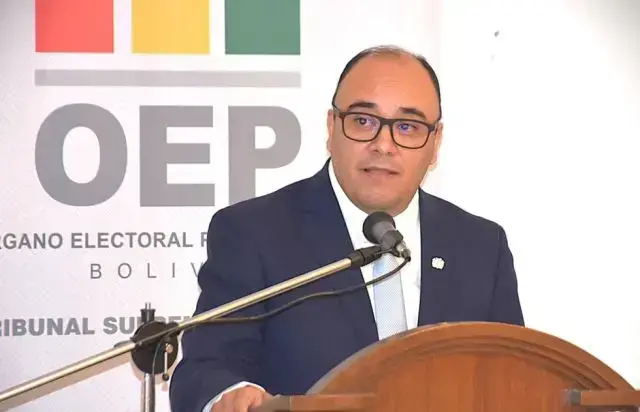 El presidente del TSE, Gustavo Ávila.