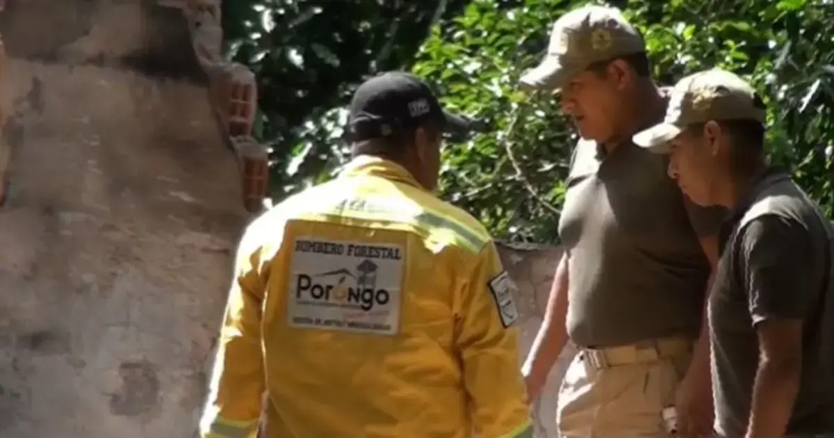 Imagen sin título