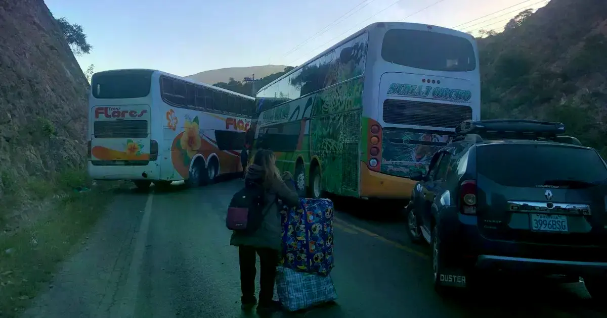Imagen sin título