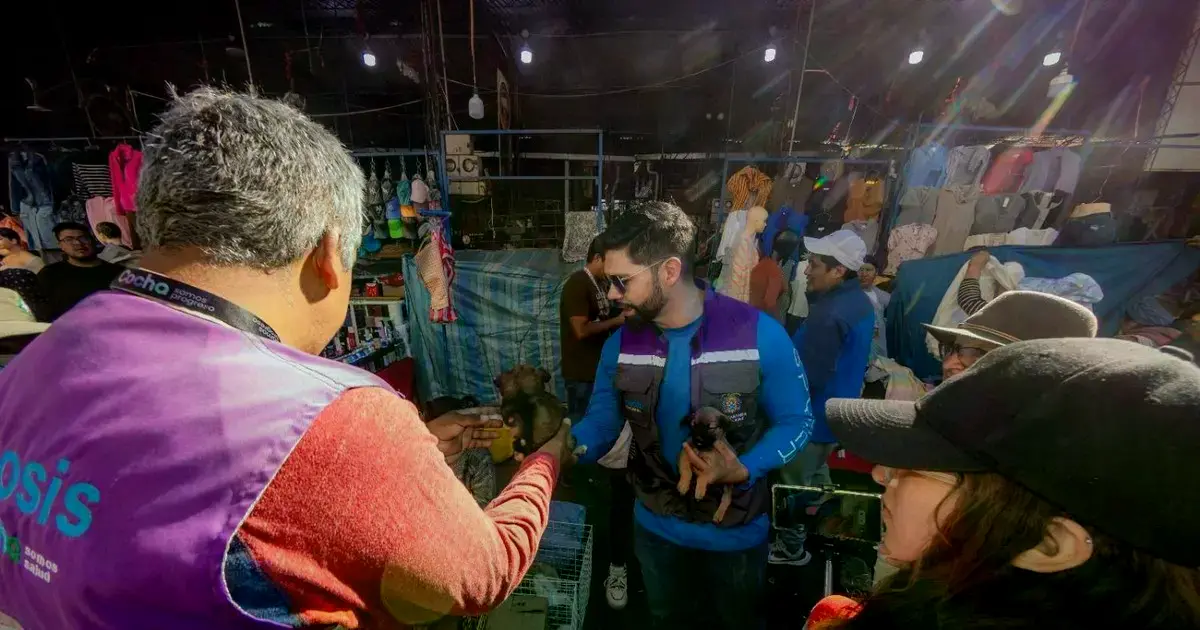 Operativo de rescate a animales comercializados de forma ilegal