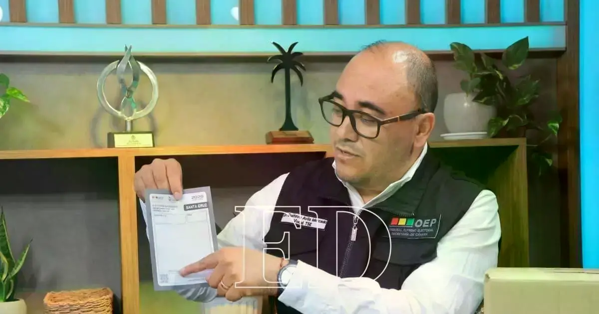 Gustavo Ávila (TSE) durante una entrevista en EL DEBER