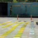 Secuestran camión con media tonelada de marihuana en control del trópico cochabambino