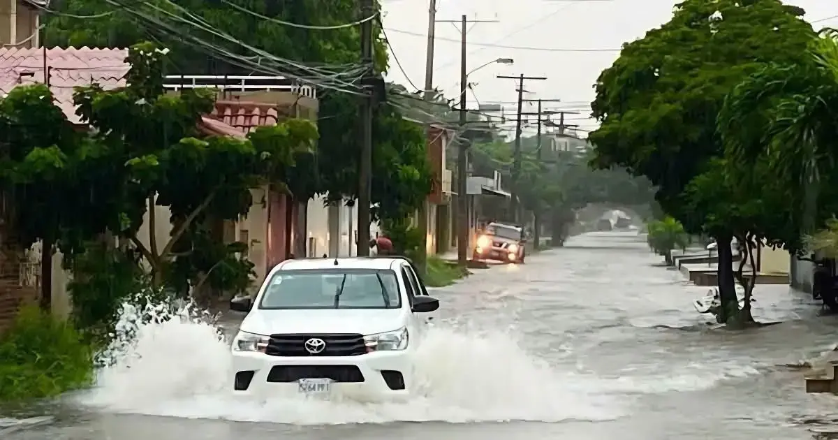 Imagen sin título