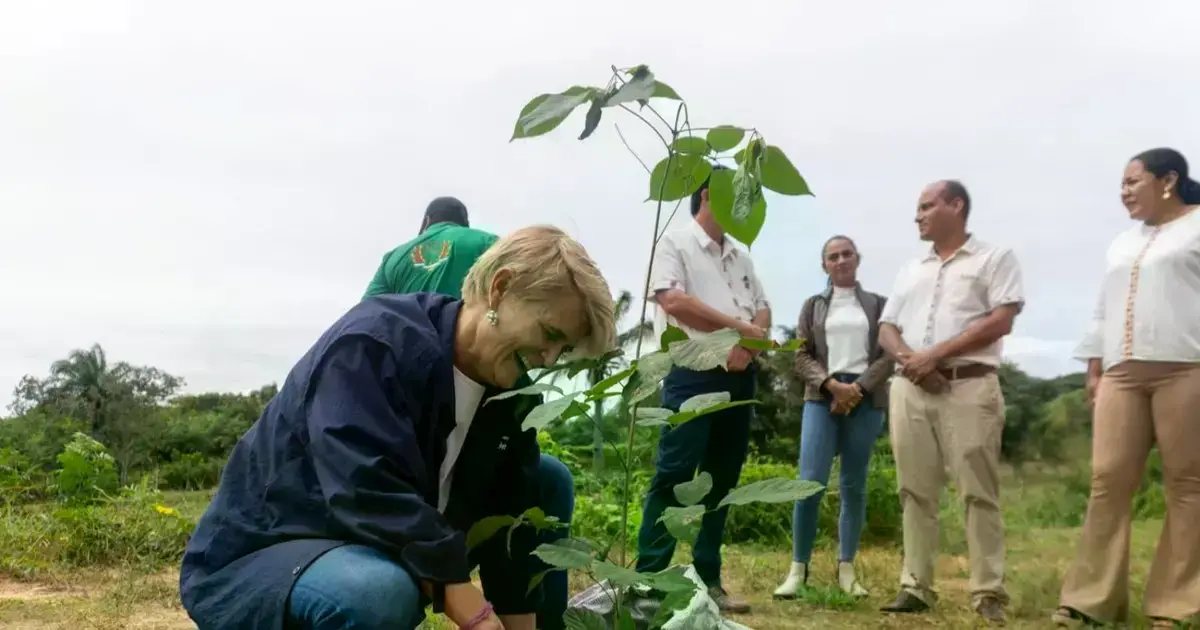 Personalidades participan en la plantación de arbolitos en el primer Bosque Sinfonía, en San Javier