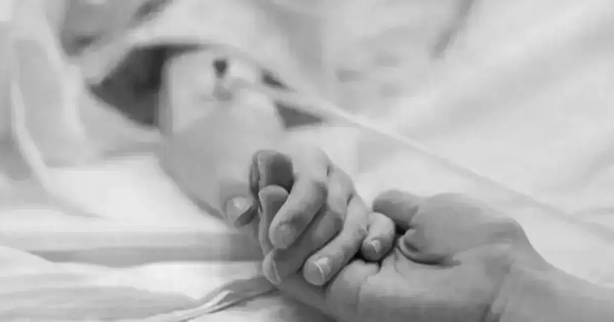 Imagen ilustrativa de Internet