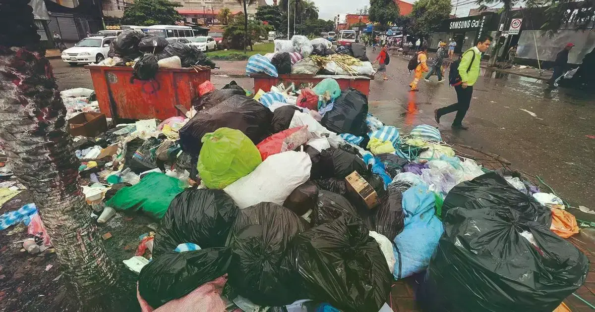 Así están contenedores de los centros de abastecimiento