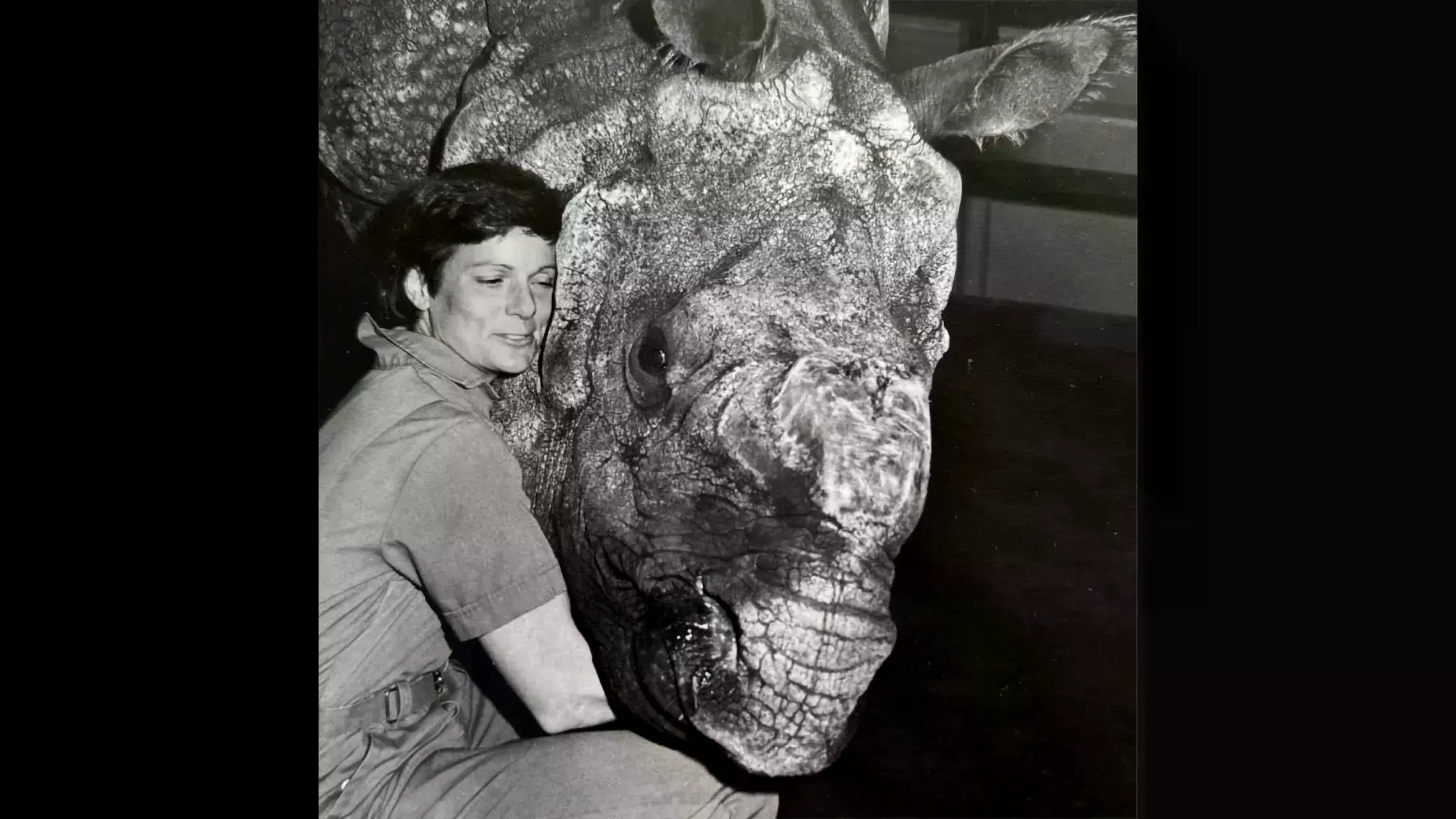 Rinoceronte de Sumatra en el Santuario de Rinocerontes de Sumatra.