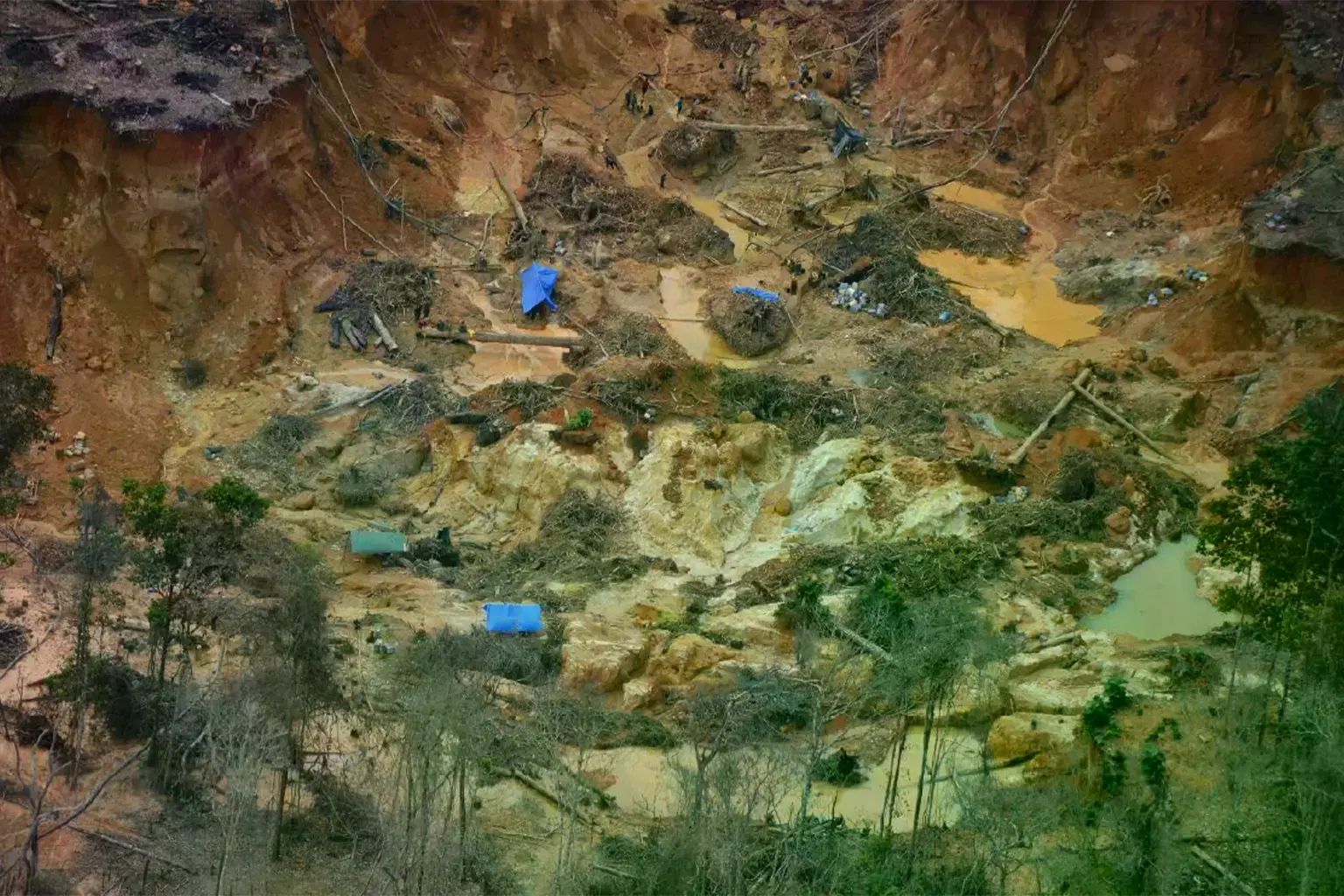 Mineria de oro en la Amazonia.