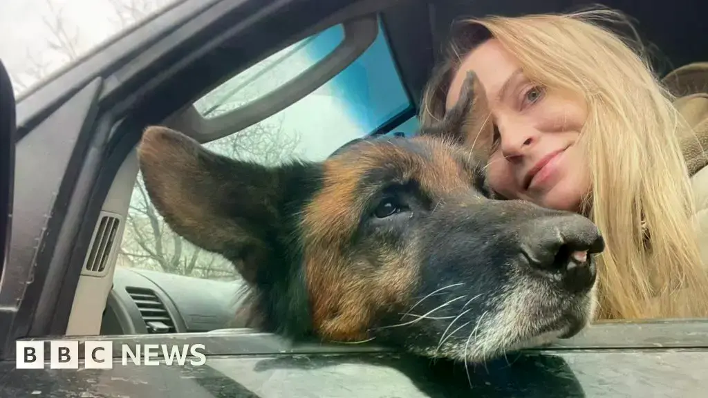 Un dron ruso impactó un refugio de animales en Zaporiyia, matando a una docena de animales.