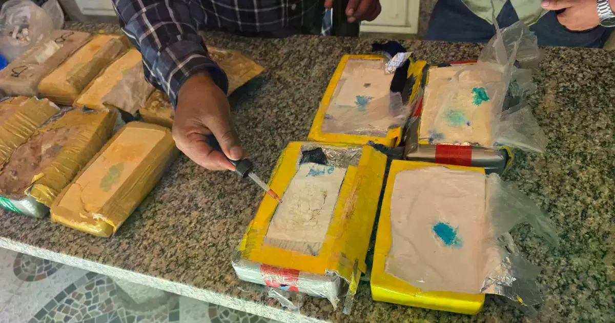 La droga estaba en una caja de cartón debajo de un mesón.