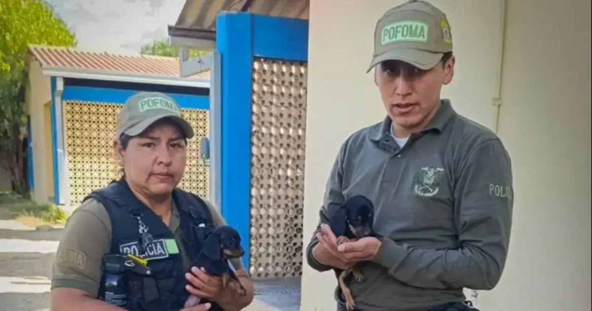 Policías muestran a dos de los cachorros rescatados.