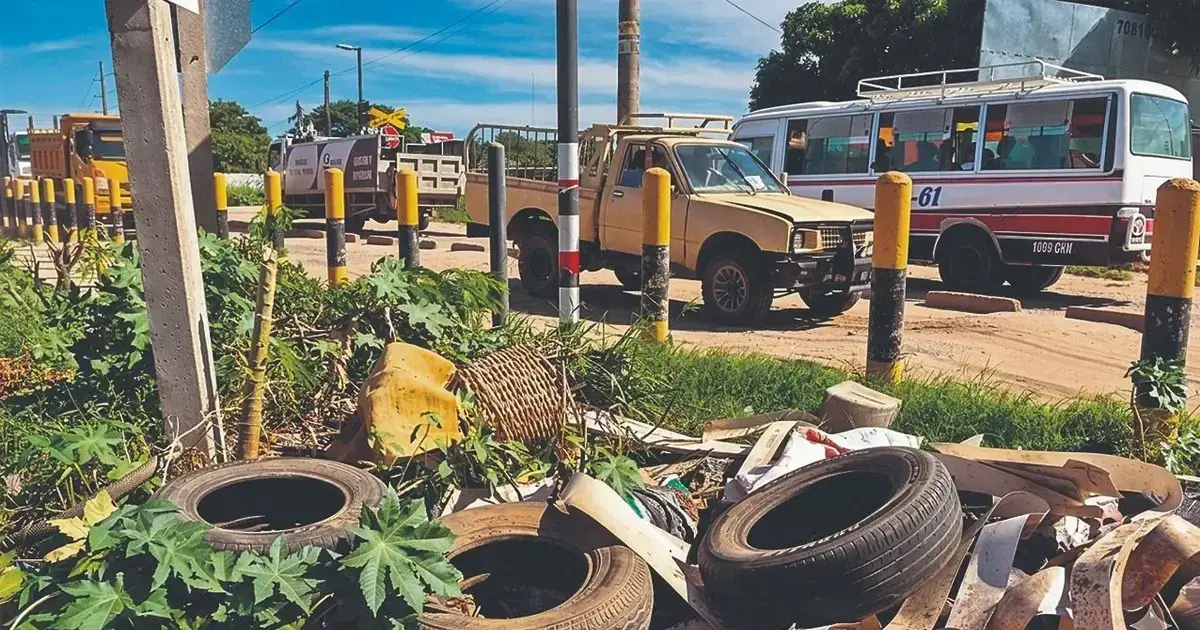 Criaderos de mosquitos en la capital cruceña