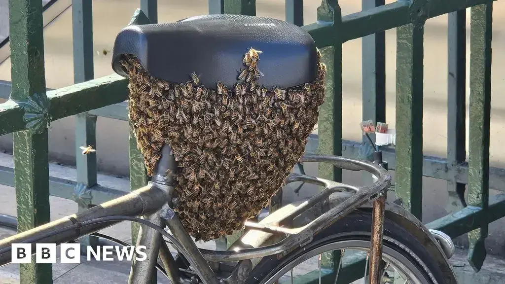 Las abejas se posaron bajo el sillín de la bicicleta.