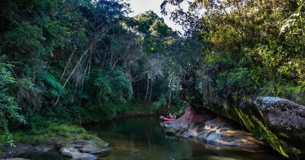 El Parque Nacional Madidi es uno de los territorios con mayor biodiversidad del país