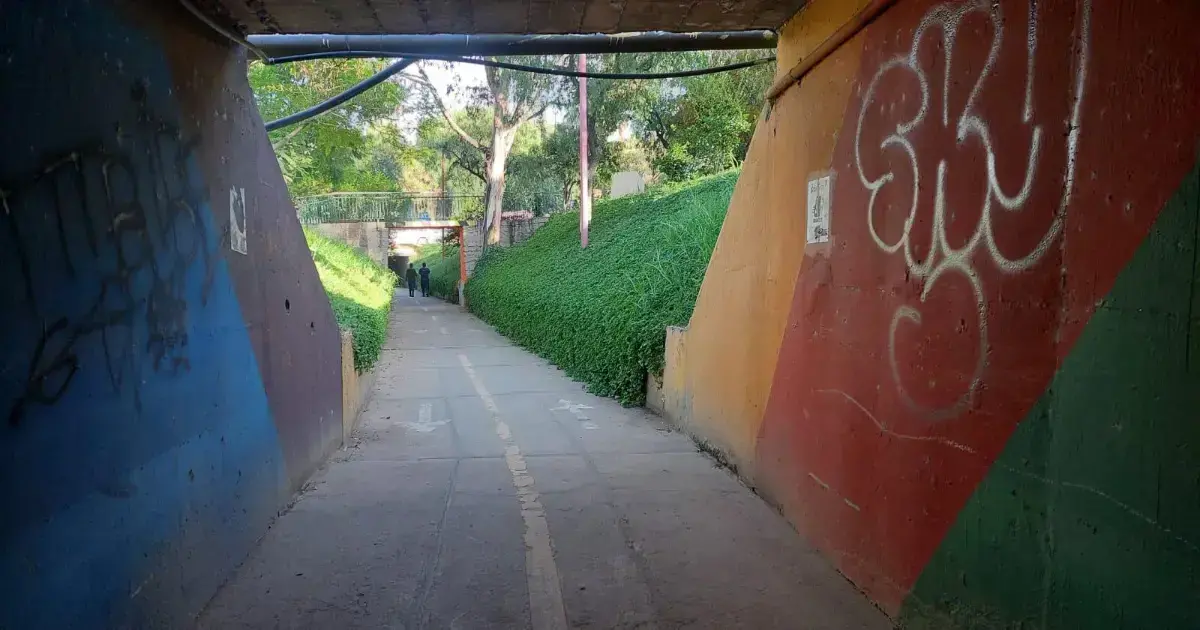 Paola Cadima - UNITEL