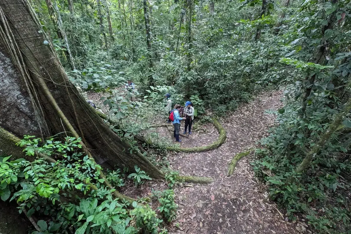 Alexa Vélez en Madre de Dios.
