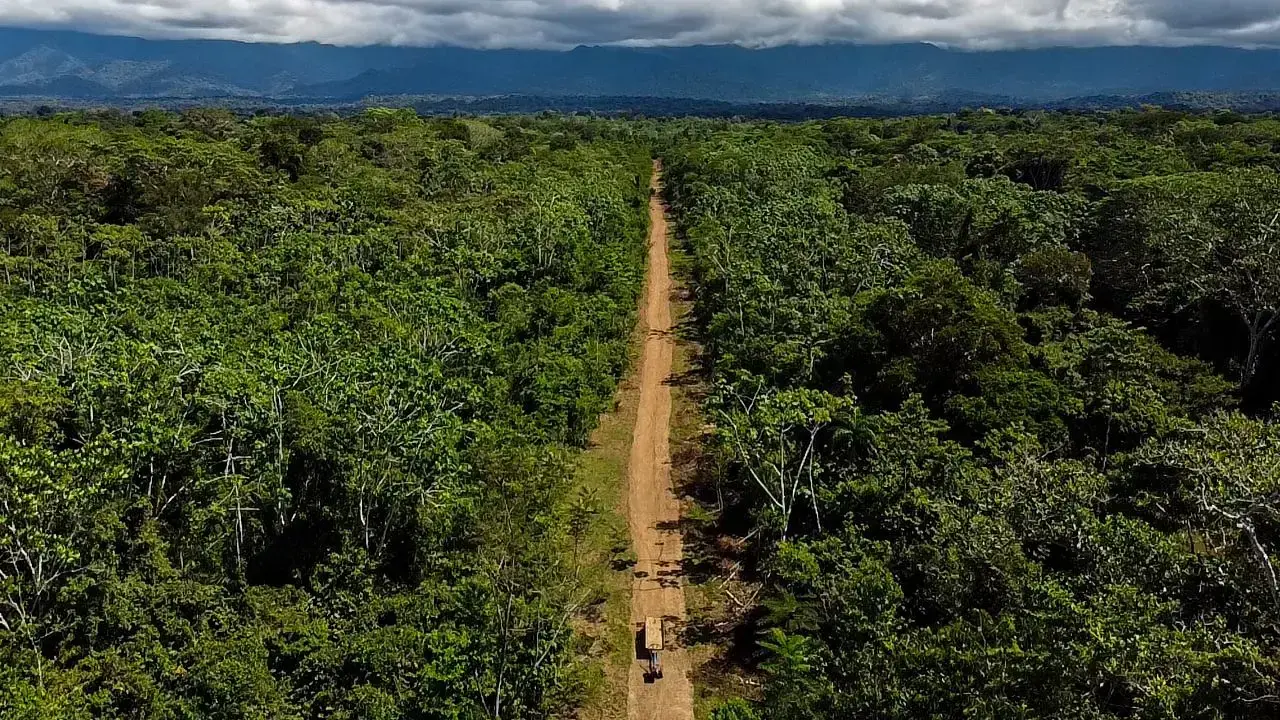 Imagen sin título