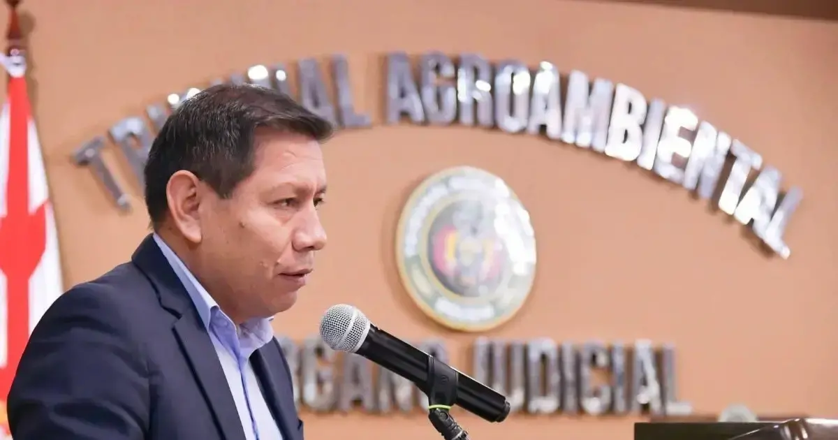 Imagen sin título