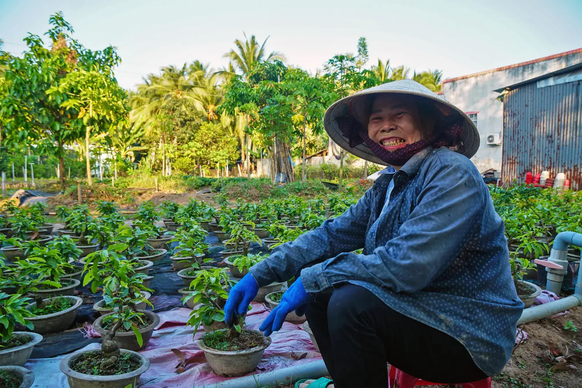 Un estanque para almacenar agua dulce en medio del huerto de Khanh Chi.