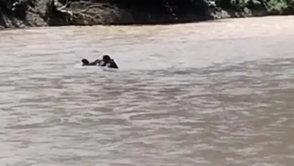 El vehículo que cayó flota este sábado en el río de Guanay.