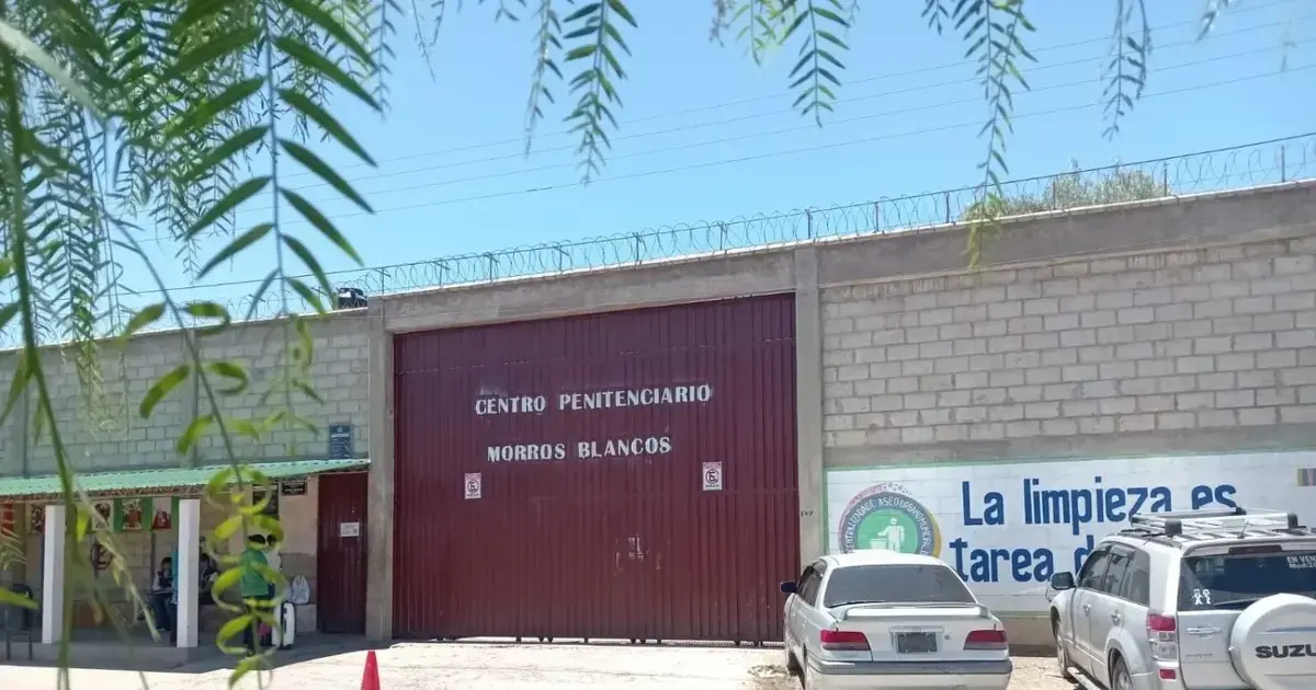 Imagen sin título