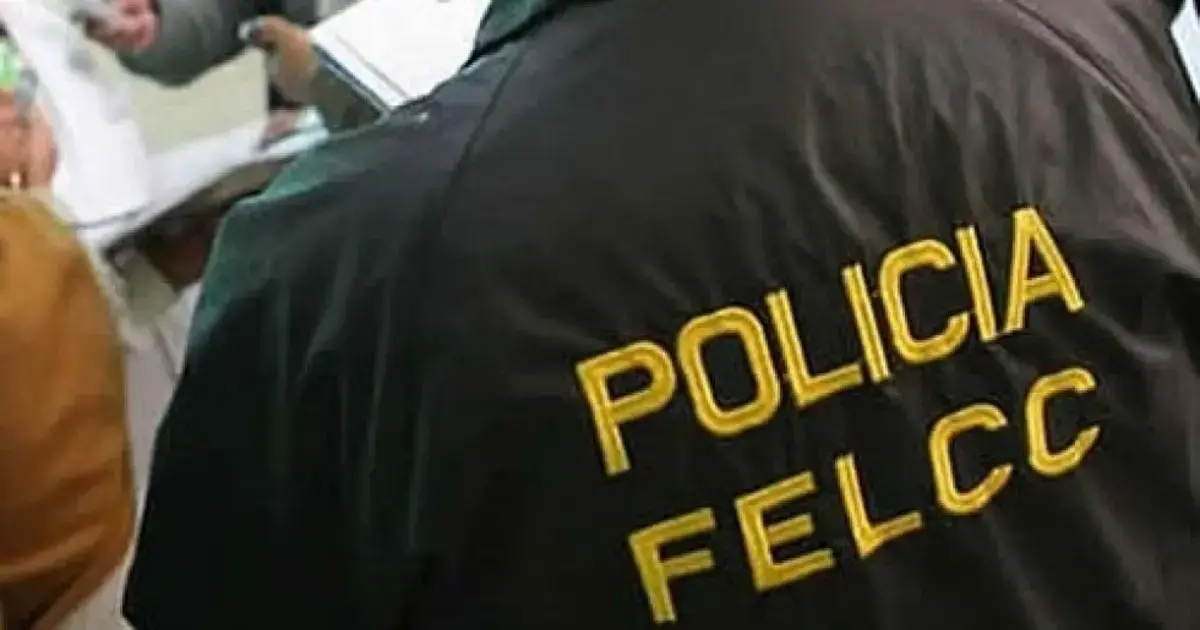 Imagen sin título
