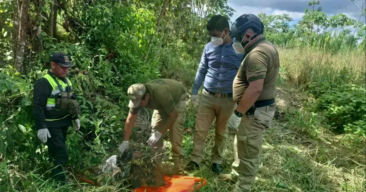 Imagen sin título