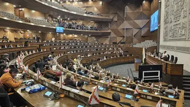 La Asamblea Legislativa Plurinacional.