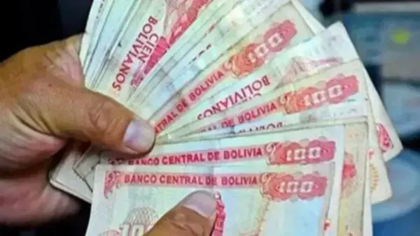 Imagen referencial